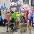 Play is Happening at International Toy Fair More than 34,000 toy lovers from all corners of the globe are expected to swarm New York City’s Jacob K. Javits Convention Center, where the 109th American International Toy Fair...