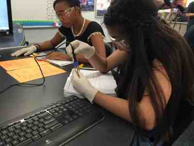 Students use the TI-Nspire CX graphing calculator to analyze fluid samples at the STEMsmart Middle School Summit.