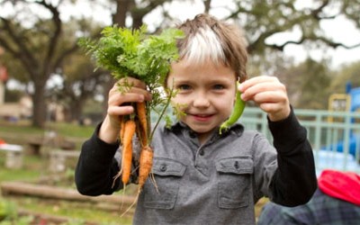 Why and How to Make a Green School