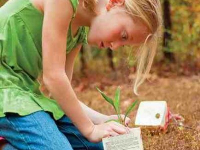 School Gardening Competition: Carton 2 Garden