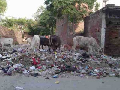 Interns Invited to Participate in PM Modi’s Swachh Bharat Campaign